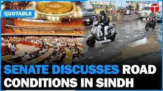 Senate Session Discusses Road Conditions in Sindh | Breaking News