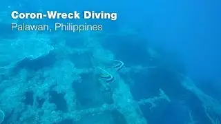 BEST ACTIVITY EVER - Wreck Diving at Coron - Palawan, Philippines