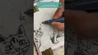 SKETCH FUNNY CATS 🐱 with KAWECO AL STONEWASHED BLUE [m]