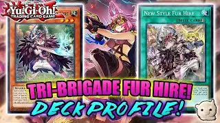 *NEW* Yu-Gi-Oh! TRI-BRIGADE FUR HIRE DECK PROFILE!! w/ TEST HAND + COMBO! BUDGET BEASTS! NOV. 2020!!