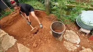 My Massive DIY Guppy Pond Project