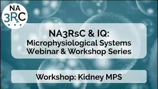 Microphysiological Systems Workshop: Kidney Models