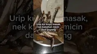 alah alah suka masakanku yaa #fypシ #masaklagi #shortvideo #memasakdirumah #masakanrumahan #fyp