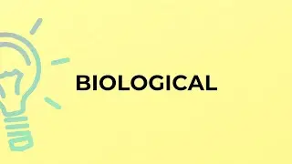 What is the meaning of the word BIOLOGICAL?