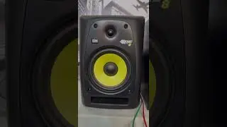 Какие Моники лучше  KRK VS BEHRINGER