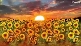 Eternel Happiness frequency 432 hz | Music to Release Serotonin, Dopamine and Endorphins