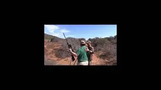 Caza de Blesbuck y Nyala en Sud&aacute;frica con African Territory Safaris #africanhunting #cazasudafrica
