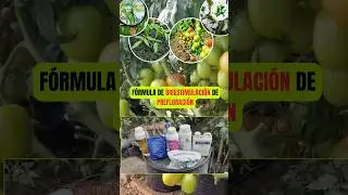 Formula de Bio Estimulaci&oacute;n de pre floraci&oacute;n #hortalizas #agricultura