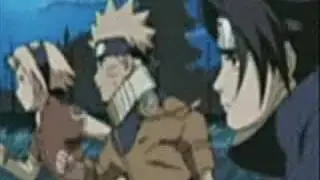A whole new world -Sasu/Saku