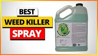 Top 6 Best Weed Killer Sprays of 2026 - [Expert Review & Buyer&rsquo;s Guide]