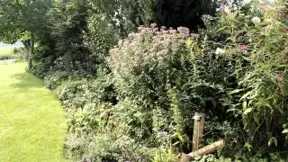 Eco Care Gorris genomineerde tuin voor Tuin van het Jaar 2014