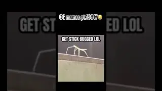 Stick bug meme