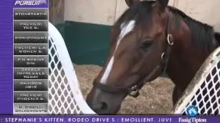 Pursuit of the Cup: Change of Plans for Goldencents