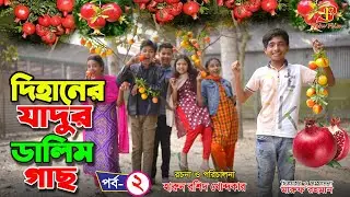 দিহানের 