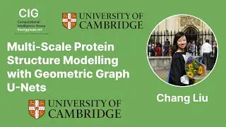 Multi Scale Protein Structure Modelling with Geometric Graph U Nets