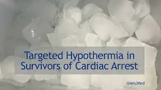 Targeted Hypothermia vs Normothermia in Cardiac Arrest Survivors
