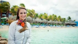 Werken als receptionist - stages en banen over de hele wereld
