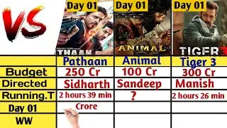Animal Vs Tiger 3 Vs Pathaan Opening Day Box office Collection | Animal Day 1 Collection
