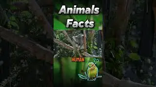 Secret Animal Behaviors You&rsquo;ve NEVER Seen Before! 🕵️ | Nature&rsquo;s Hidden Truths