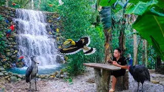 From an Overgrown Garden to a Luxury Resort &ndash; Duong&rsquo;s Incredible Restoration Skills