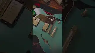 Tap☝️ for full video | This bird rocks! 🤘 Josh Williams Mockingbird for the win #electricguitar