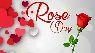 Happy&nbsp;rose&nbsp;day&nbsp;whatsapp&nbsp;status&nbsp;shayari, rose&nbsp;day&nbsp;shayari rose&nbsp;day wish&nbsp;shayari rose&nbsp;day&nbsp;s status....