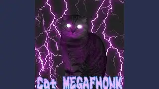 Cat MEGAPHONK