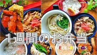 【高校生息子弁当】お昼は丼物、これ正義🍚～男子が行列するのは麺、丼、カレー～