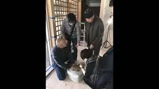 Shoseian Garden & Tea House Renovation
