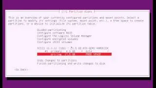 it1100 partition example
