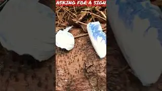 Asking For a Sign (Bigfooting Forest Finds)