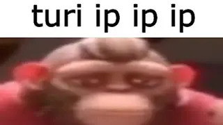 turi ip ip ip song