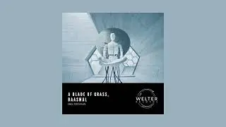 A Blade Of Grass, Baasmal - Berm [WELTER141LP]