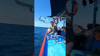 Why Fishermen Never Lift Squid Out Immediately #shorts