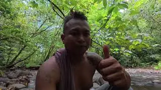 BERBURU SOLO DI HUTAN // BALIK TERUS MASAK SUP HALIA TERUNG ASAM ➕IKAN MASIN