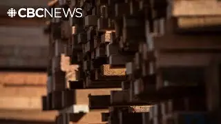 U.S. slaps 20.56% anti-dumping duties on Canadian softwood lumber