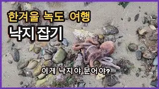 한겨울 녹도 여행 '낙지 잡기' / 편안한 여행 '섬 여행'
