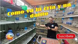 Como va la temporada de cría!!!