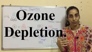 Ozone Depletion | Chemical Reactions of Ozone Depletion |  Science Land