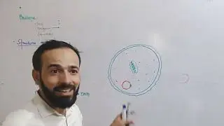 05. What are Bacteria | Structure of Bacteria | Structure of Prokaryotic cell |