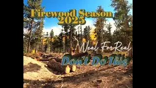 Firewood Season 2025 - Don't Do This - Electric Chainsaw Durability Test