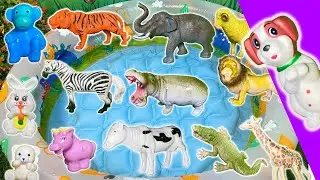 Meet the GIANT Animals! 🐘 | Big Wild Animal Adventure for Kids & Toddlers