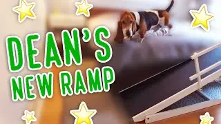 Dean's new ramp!