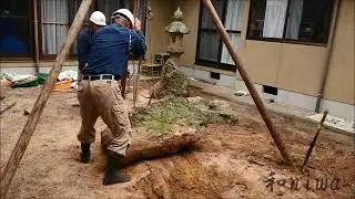 「中庭に石庭を造る」和niwa