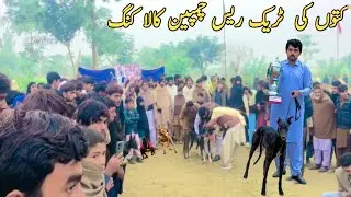 Dog Race Shikar||Gadhai Dullewala Distt BhakKar Track Race|| Dog Race2026