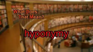 What does hyponymy mean?