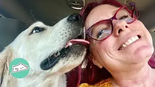 Service Dog Helps Mom Do Things She Was Afraid of Doing | Cuddle Buddies