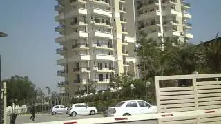 Saya Zenith