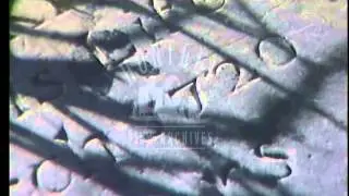 Antigua, English Harbour.  Archive film 93267
