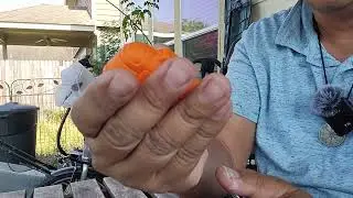 PINOY PREPPER GEAR ELECTRONIC LIGHTER SA BUG OUT BAG